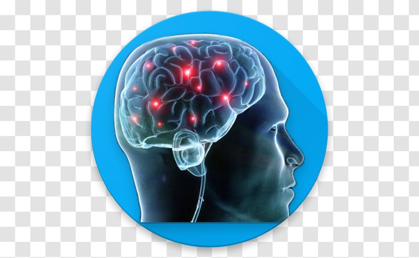 Physiological Psychology Neuroscience Therapy - Research - Intelligence Quotient Transparent PNG