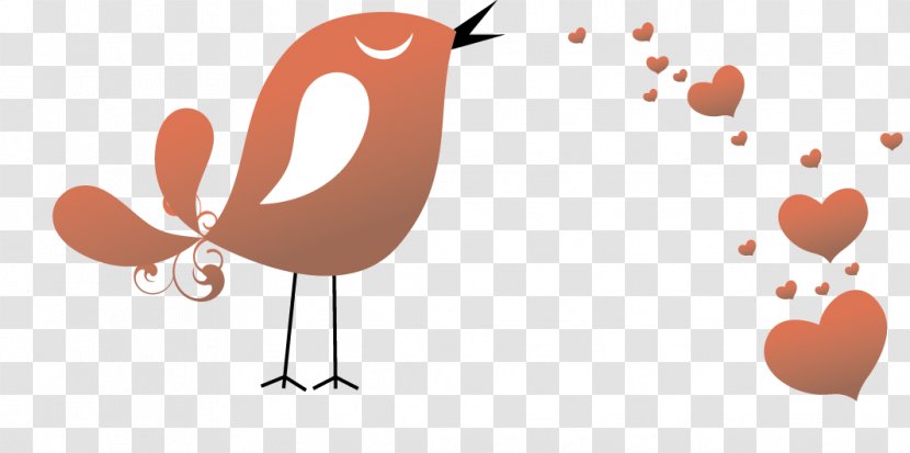 Lovebird Illustration - Cartoon - Vector Love Birds Transparent PNG