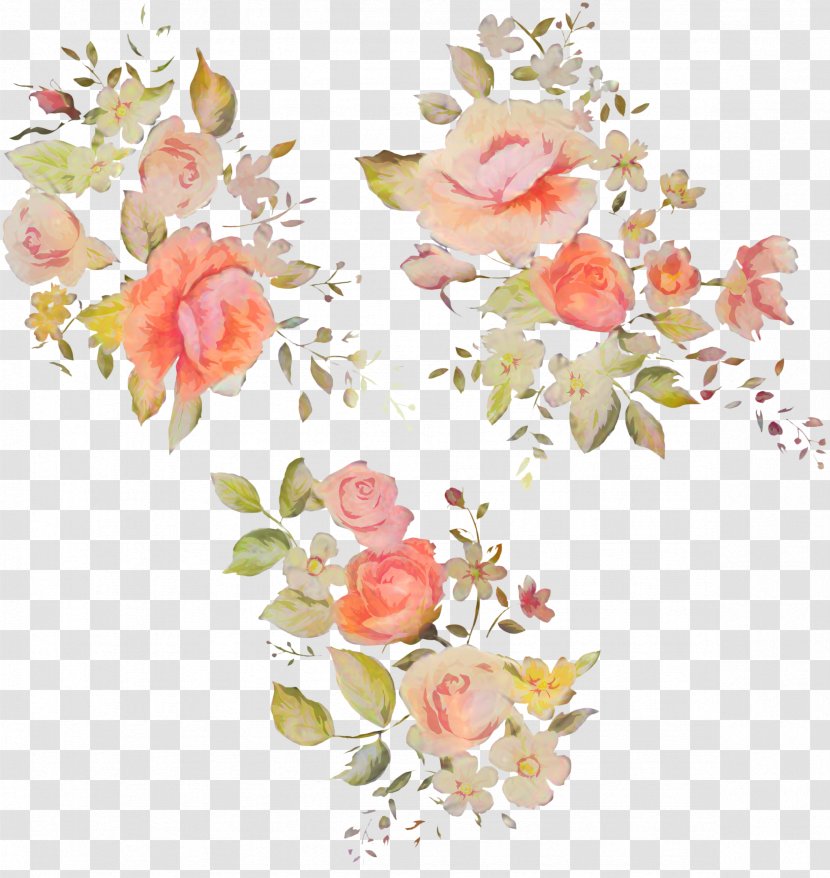 Garden Roses Cabbage Rose Floral Design Cut Flowers - Botany - Blossom Transparent PNG