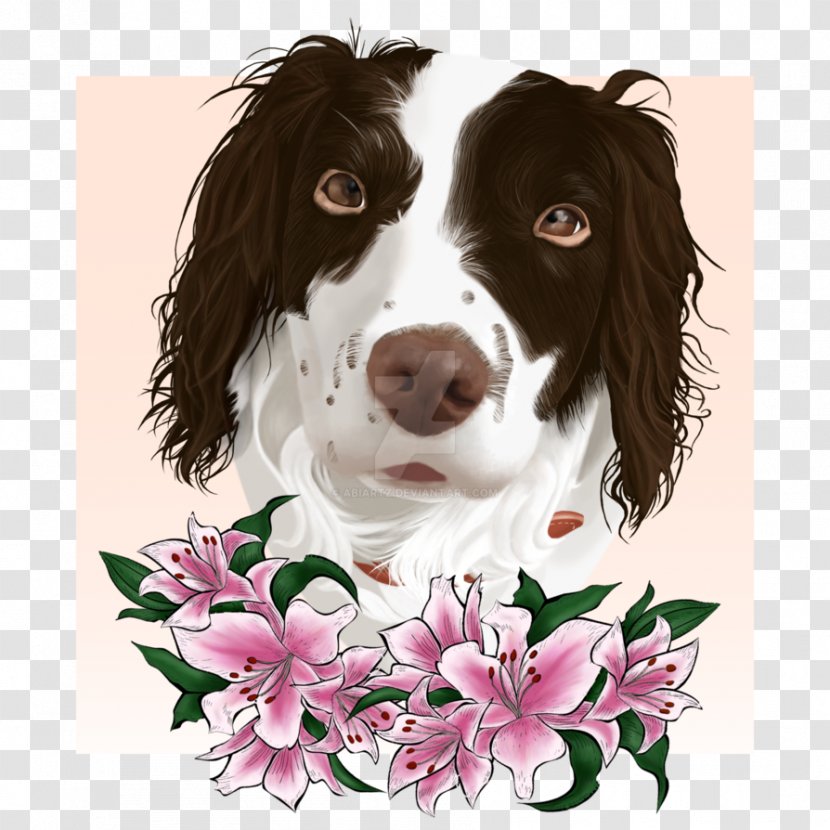 English Springer Spaniel Drentse Patrijshond Dog Breed Companion - Sporting Group - Pet Flower Transparent PNG
