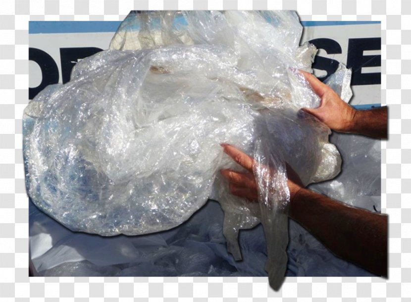 Plastic Bag Bottled Water Polyethylene - Fish Transparent PNG