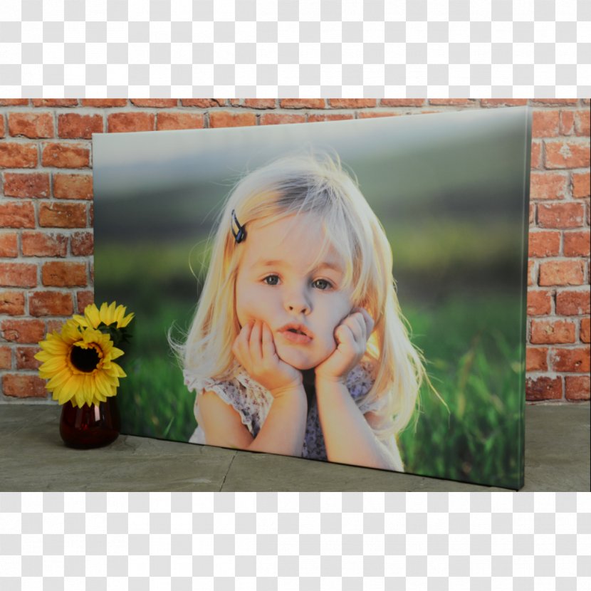 Motion Photography Canvas Print Apple - Toddler Transparent PNG