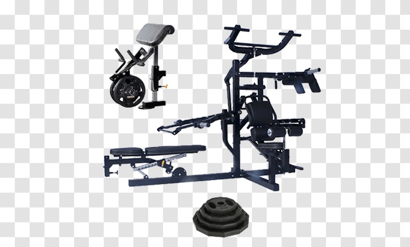 Exercise Equipment Fitness Centre Bench Machine Physical - Bodybuilding Transparent PNG