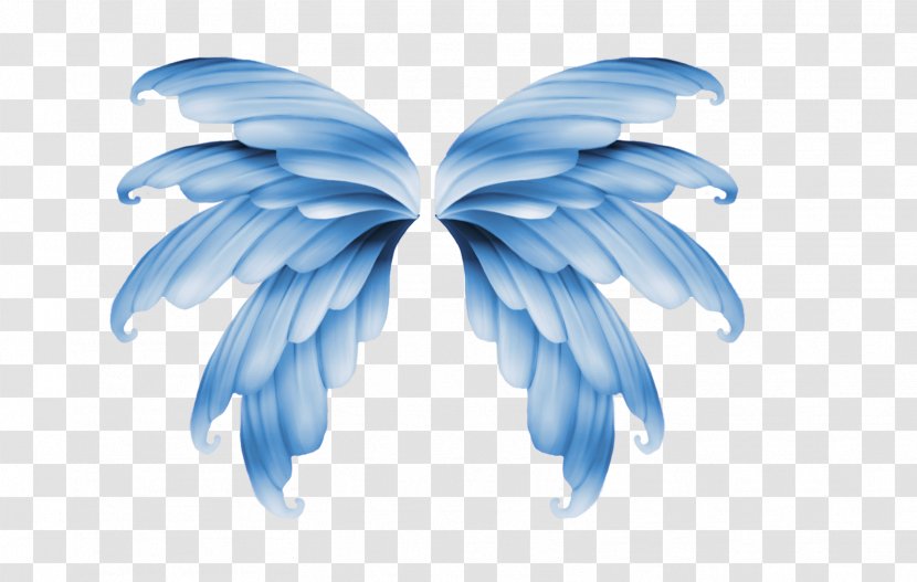 Wing Flight Aile - Transparent Wings Transparent PNG