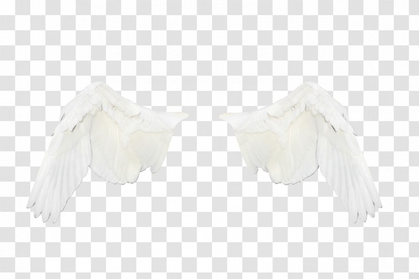 Feather - Fashion Accessory Transparent PNG