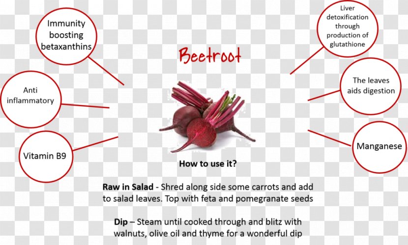 Salad Product Design Pomegranate Beetroot - Frame - Recipe Transparent PNG