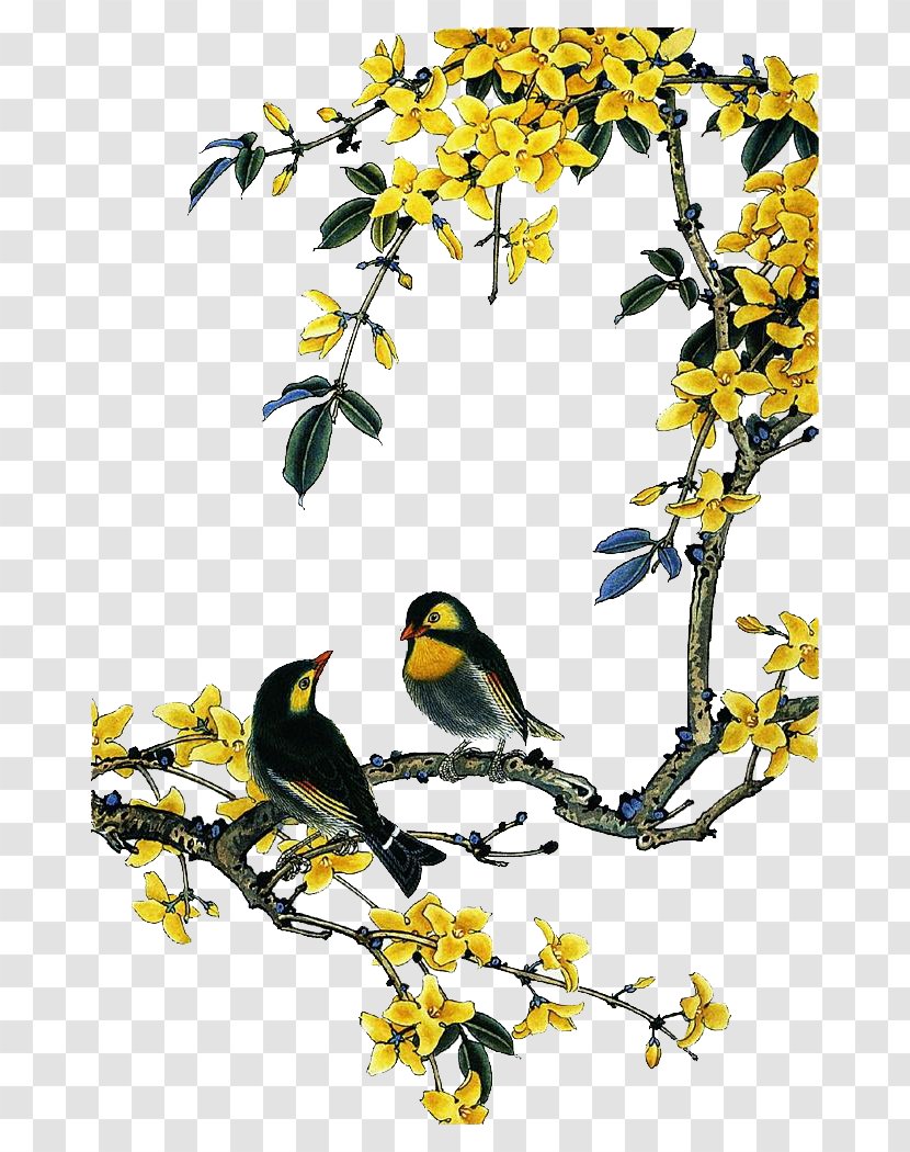 Bird-and-flower Painting Chinese - Beak - Flowers And Birds Transparent PNG