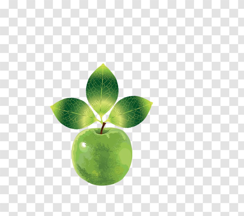 Logo Clip Art - Apple - Green Transparent PNG