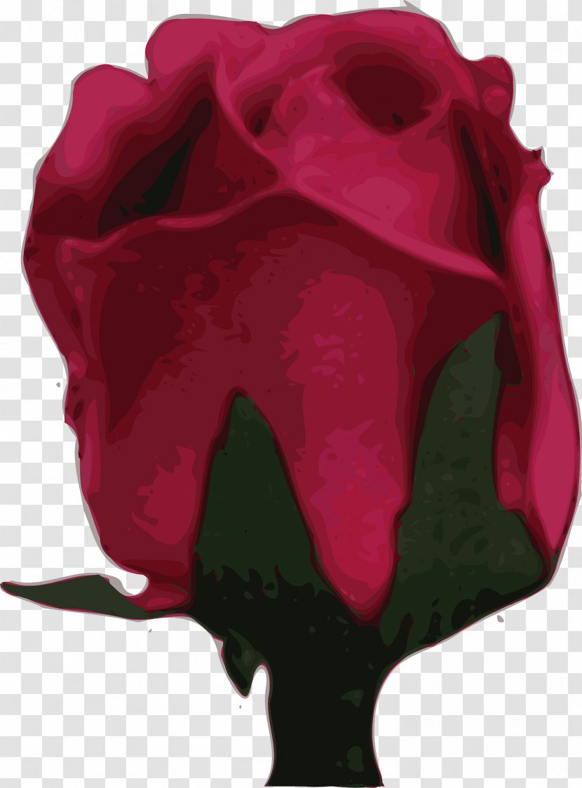 Garden Roses Flower Clip Art - Plant - Rose Transparent PNG