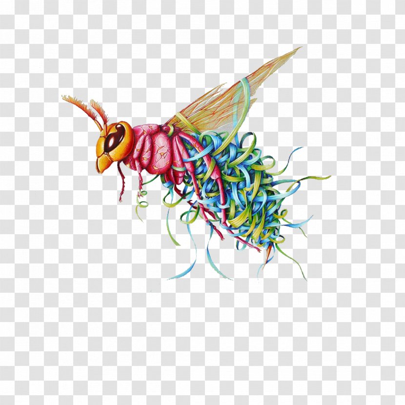 Insect Locust - Pollinator Transparent PNG