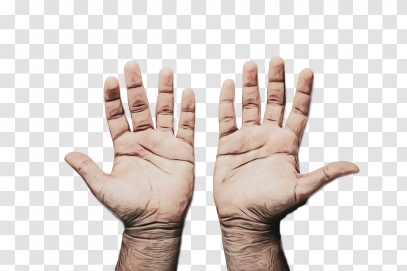 Hand Model Hand Meter H&m Transparent PNG