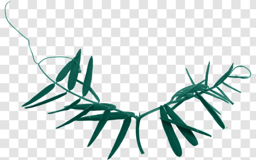 Leaf Plant Stem Liana Branch Clip Art - Blog Transparent PNG