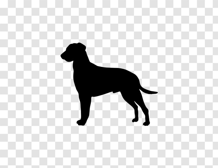 Dog Breed Dobermann Golden Retriever Great Dane T-shirt - Carnivoran Transparent PNG
