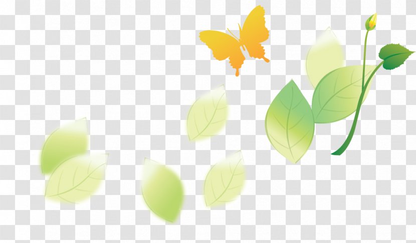 Green Desktop Wallpaper Leaf Graphics Plant Stem - Computer - Banderoles Filigree Transparent PNG
