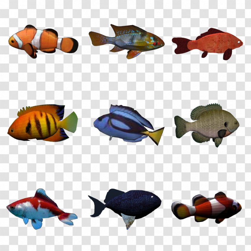 Object Detection Freshwater Fish Exemplar Theory - Animal Figure - Tank Transparent PNG
