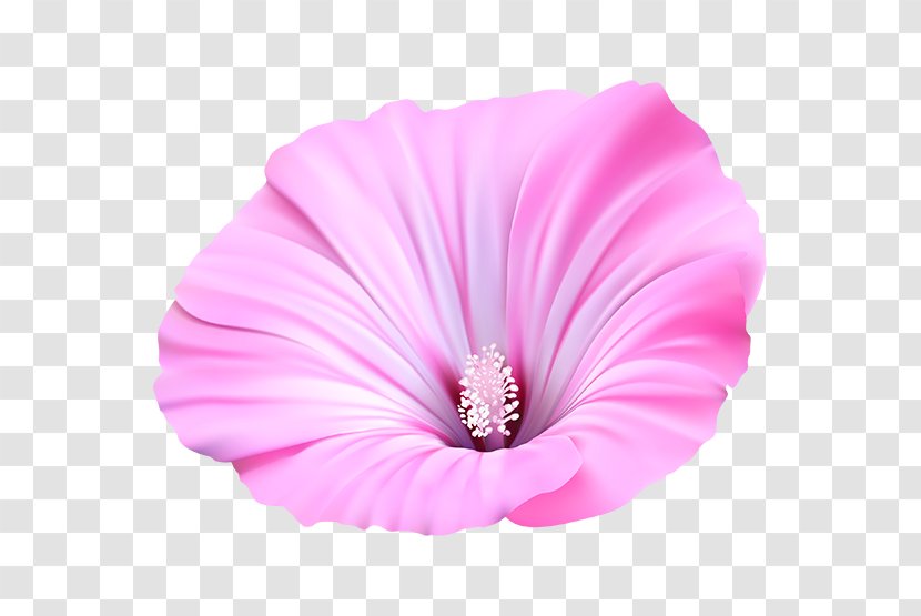 Flower Painting Petal Acrylic Paint - Malva Transparent PNG