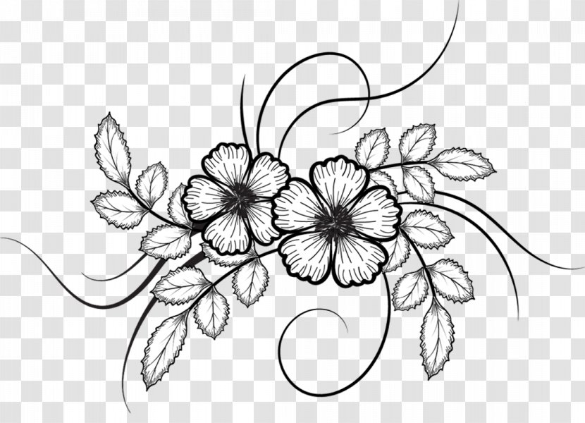 Drawing Flower - Flora Transparent PNG