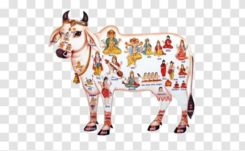 Cattle In Religion And Mythology Krishna India Kamadhenu Transparent PNG
