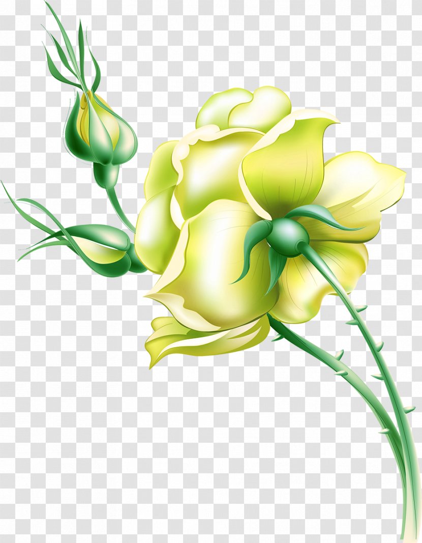 Flower Drawing - Petal - Yellow Rose Transparent PNG