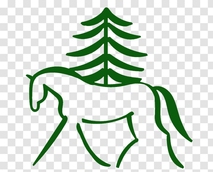 Southern Pines Riding School Whitney Weston Eventing Clip Art - Plant Stem - Christmas Transparent PNG