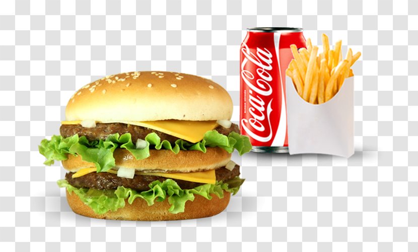 Pizza Hamburger Fast Food Panini French Fries - Patty - Burger And Sandwich Transparent PNG