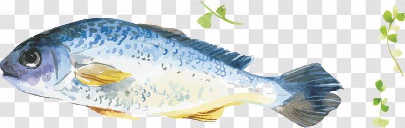 Seafood Oyster Mussel Fish - Herb - Whale Gouache Vector Pattern Transparent PNG