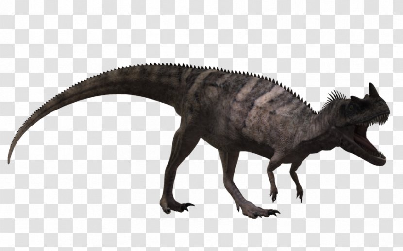 Ceratosaurus Animal Brachiosaurus Velociraptor Tyrannosaurus - Deviantart Transparent PNG