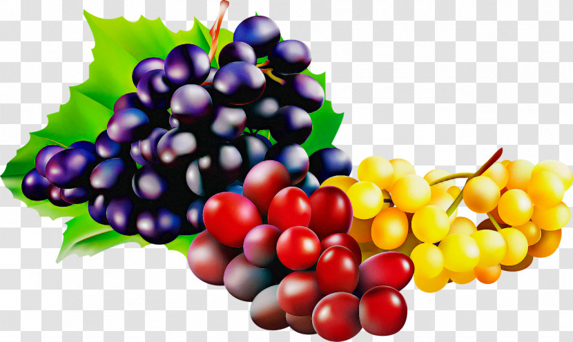 Natural Foods Grape Fruit Seedless Fruit Grapevine Family Transparent PNG