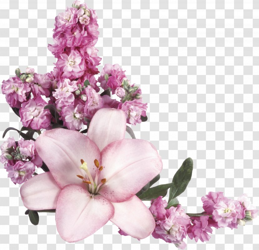 Pink Flowers Clip Art - Lilac - Lavendar Transparent PNG