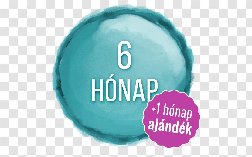 Brand Product Design Logo Font - Aqua - Macaron Cake Transparent PNG