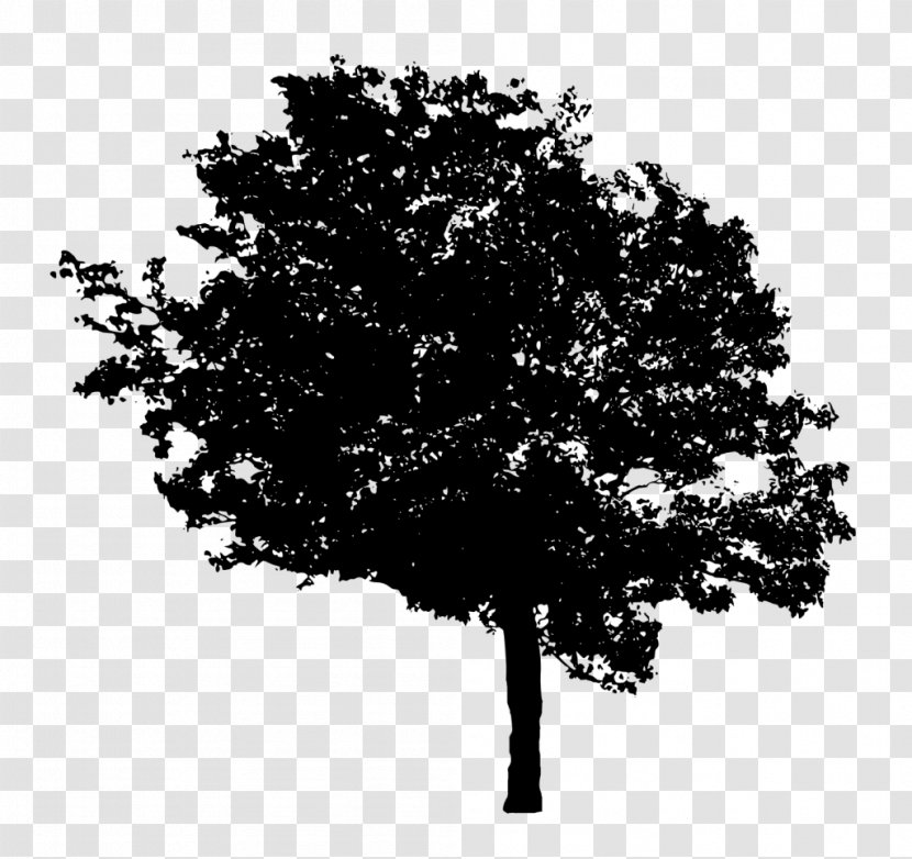Tree Desktop Wallpaper - Black And White - Transparent Transparent PNG