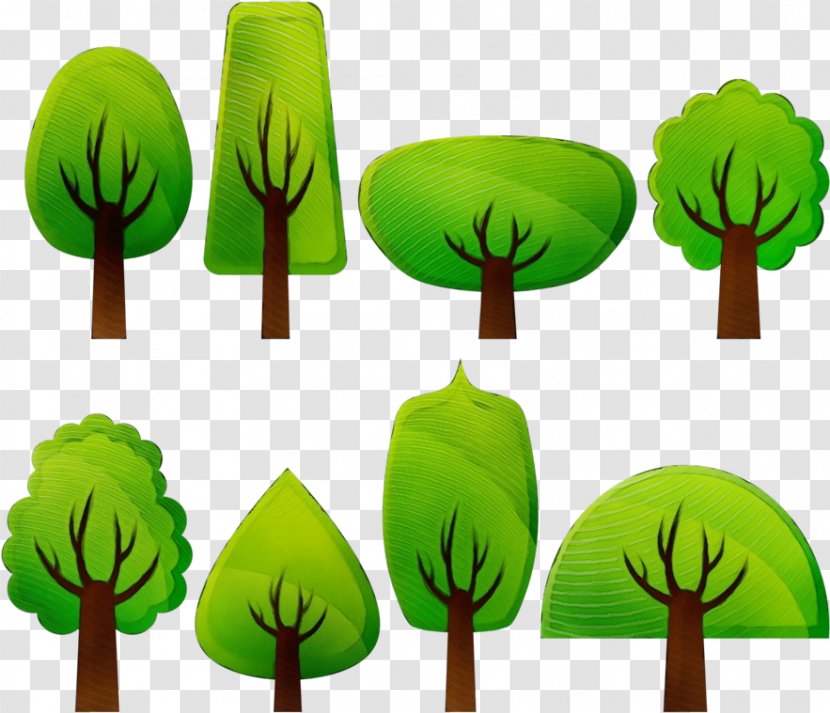 Green Leaf Clip Art Grass Plant - Vascular Family Transparent PNG