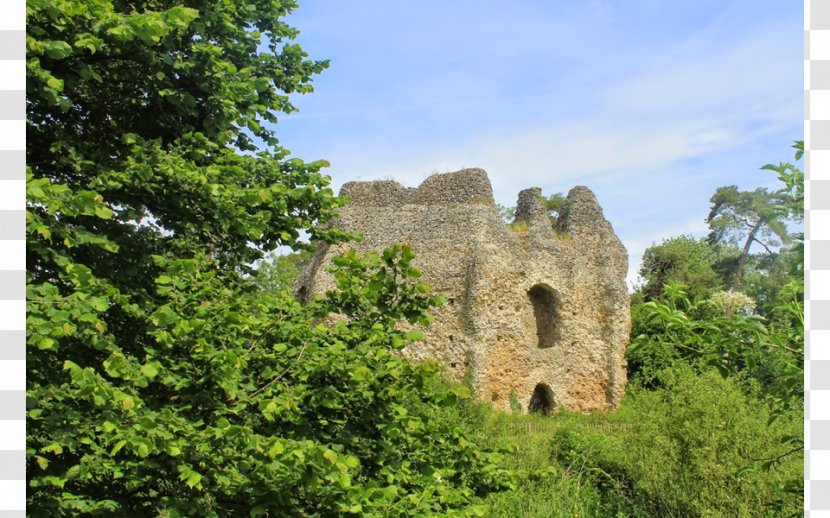 Ruins Middle Ages Nature Reserve Historic Site Medieval Architecture - Castle - Windsor Transparent PNG