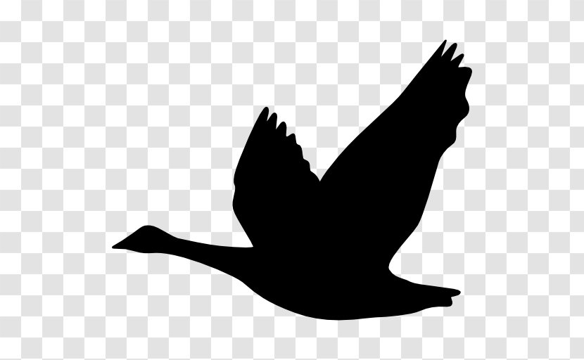 Goose Bird Duck Silhouette Ganso Transparent PNG