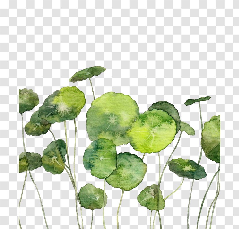 Watercolor Painting Illustration - Drawing - Free Creative Hand-painted Coins Grass To Pull Material Transparent PNG
