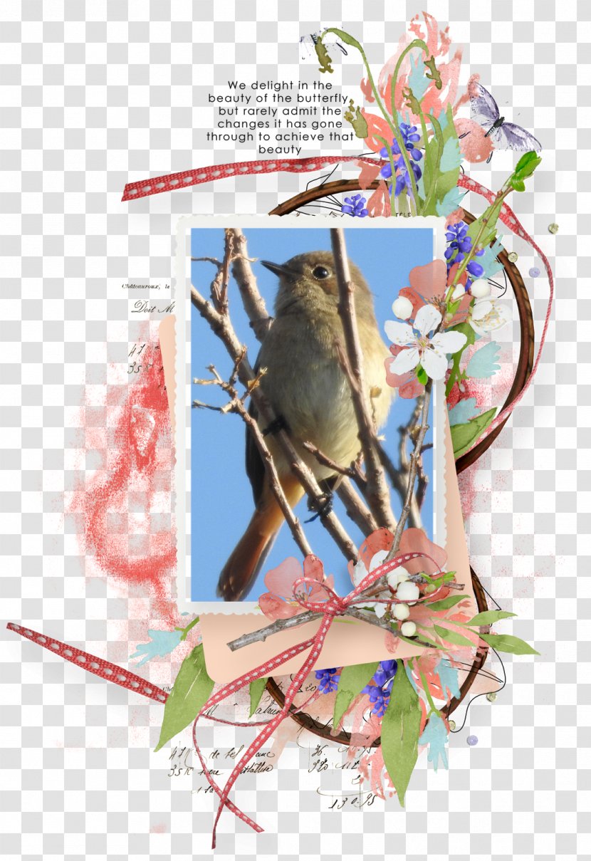 Graphic Design - Branch - Give Away Transparent PNG