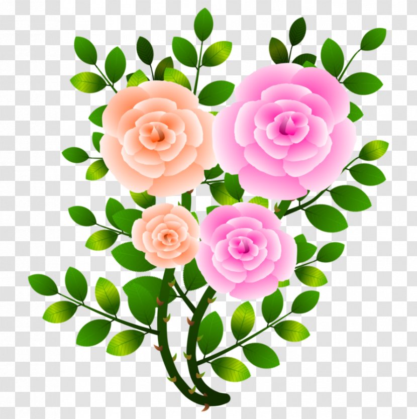 Garden Roses Cabbage Rose Cut Flowers - Floral Design - Flower Transparent PNG