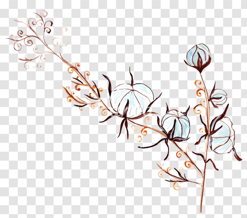 Clip Art Drawing Flower Image Illustration - Botany Transparent PNG