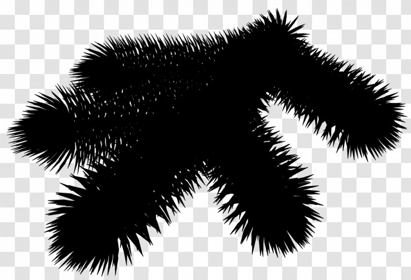 Clip Art Tree Black & White - Eyelash - M Image Transparent PNG