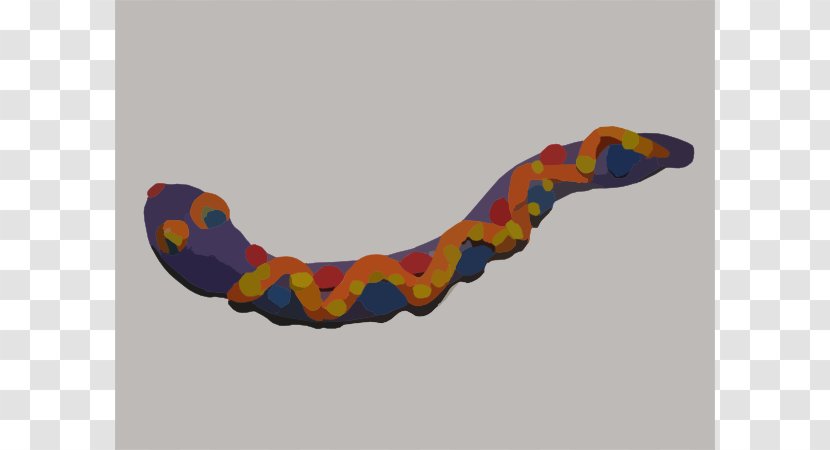 Coral Snake Play-Doh Copperhead Clip Art - Milk - Play- Doh Cliparts Transparent PNG