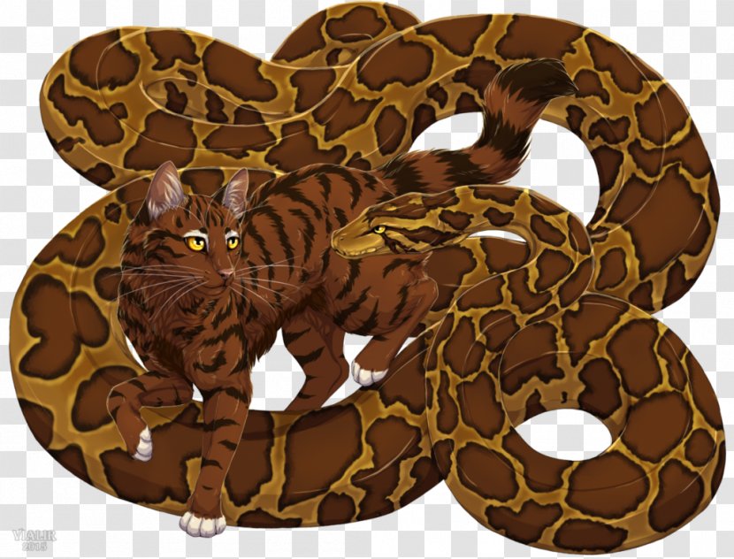 Boa Constrictor Rattlesnake Kingsnakes Reptile - Art - Cat Transparent PNG