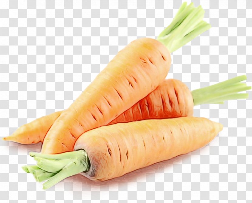 Carrot Food Vegetable Root Prawn Roll - Daikon - Parsnip Transparent PNG