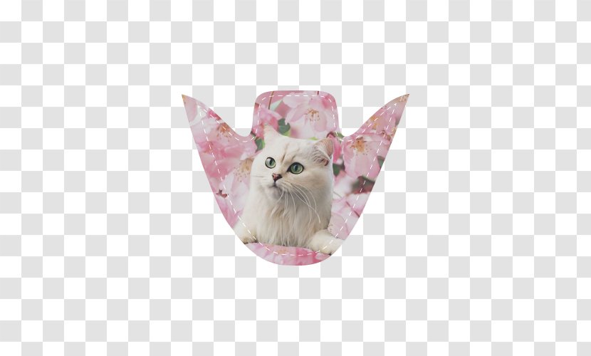 Whiskers Cat Flower Old Lace Blume Transparent PNG