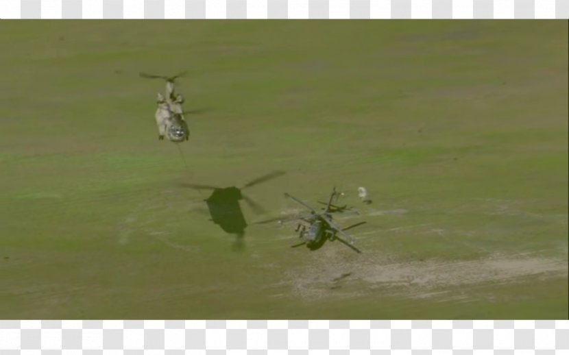 Insect Ecosystem Fauna - Grass - Ch 47 Chinook Transparent PNG