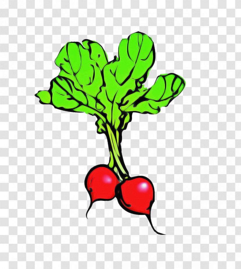 Radish Leaf Plant Beetroot Flower Transparent PNG