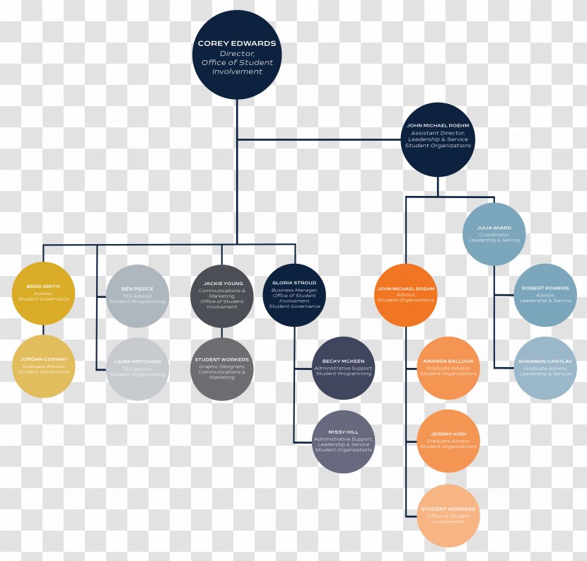 Organizational Chart Structure Division - Organization Transparent PNG