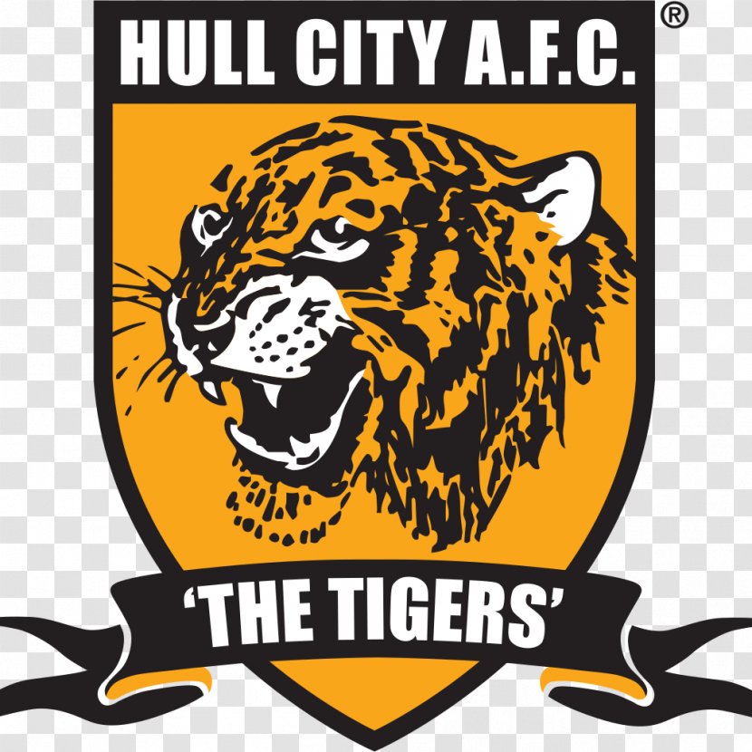 Hull City KCOM Stadium English Football League Kingston Rovers - Mammal Transparent PNG