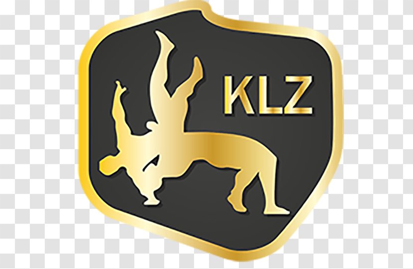 Krajowa Liga Zapaśnicza Lower Silesian Voivodeship Sports Poland National Football Team Wrestling - Small Partners Transparent PNG