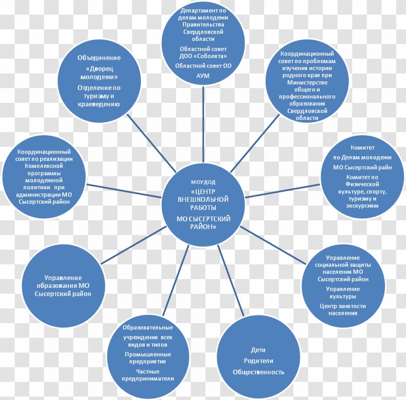 Research Circadian Rhythm Chronobiology Management - History In Mind Transparent PNG