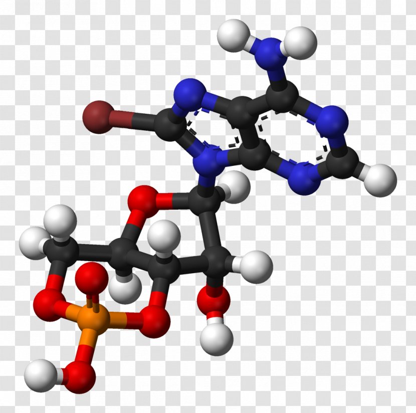 Cyclic Adenosine Monophosphate Triphosphate Nucleic Acid - Biological Process - Chemistry Transparent PNG
